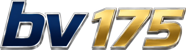 bv 175 logo